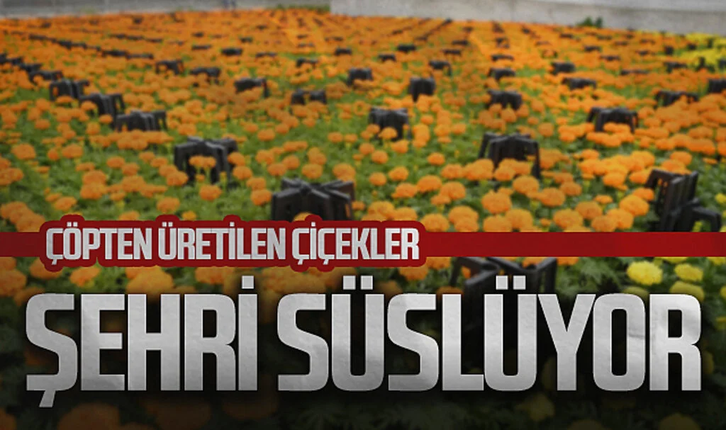 Çöpten Üretilen Çiçekler Samsun'u Süslüyor