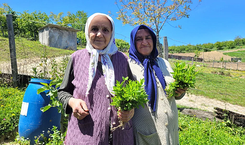 Gelin kayınvalide yetiştirdikleri organik naneyi komşularıyla paylaşıyor