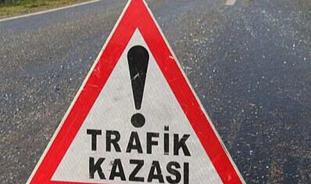 Geri geri gelen otomobilin çarptığı Azerbaycan uyruklu kadın öldü
