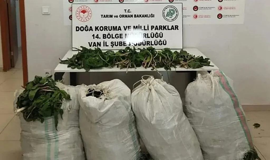 İranlı Kaçakçıya Biyoçeşitliliği Tahrip Cezası