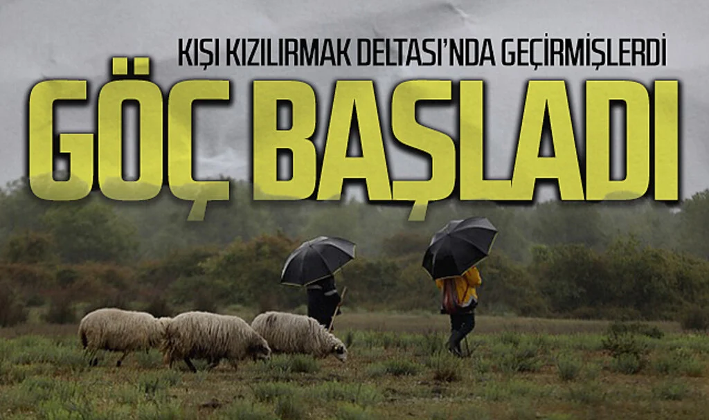 Kışı Kızılırmak Deltası'nda Geçiren Besicilerin Göç Yolculuğu Başladı