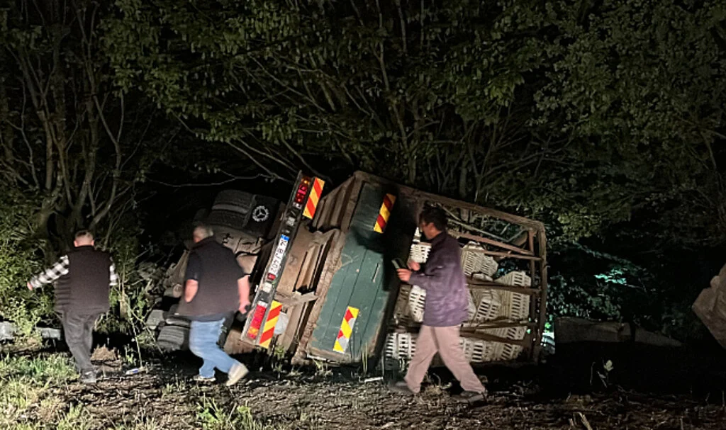 Korkunç Kaza: Bolu'da Canlı Tavuk Taşıyan Kamyon Uçuruma Yuvarlandı