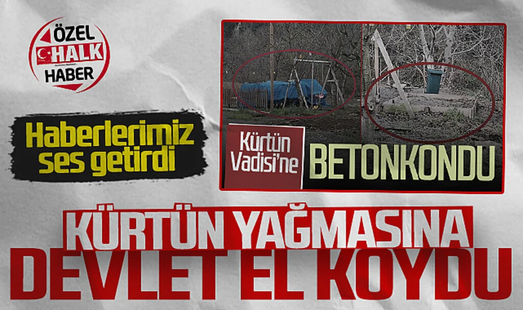 Kürtün Yağmasına Devlet El Koydu