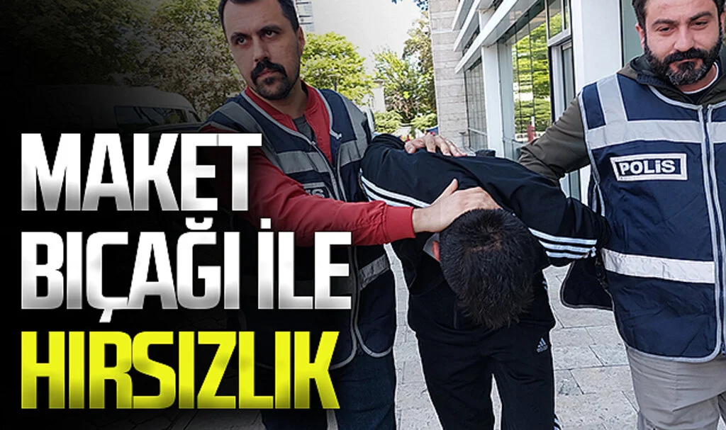 Maket bıçağı ile alarmları kesip hırsızlık yaptı
