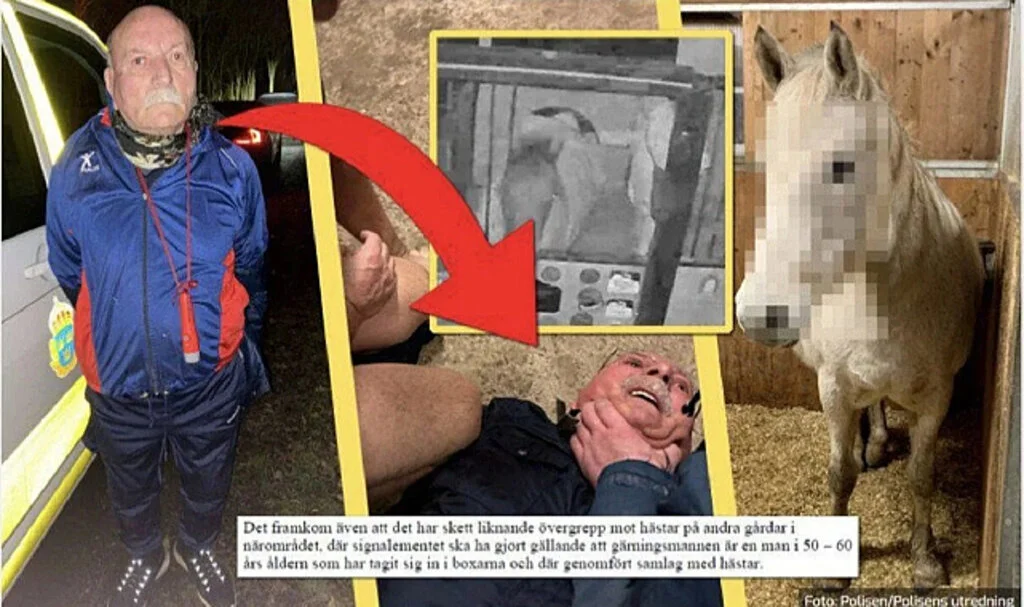 PKK'nın İsveç Sorumlusu Atlara Tecavüz Ederken Yakalandı