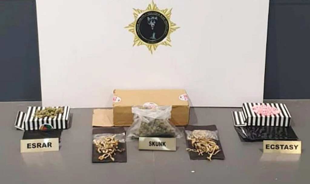 Samsun'da narkotik uygulaması: 18 kişi yakalandı