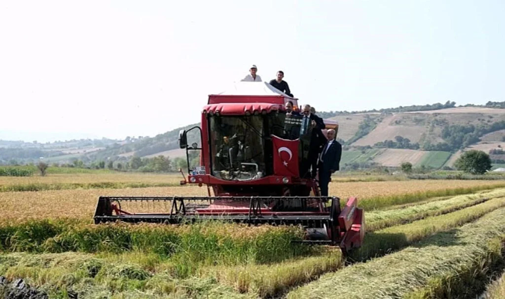 Samsun'da Organik Tarımın Yükselen Yıldızı: 2 Bin 252 Çiftçi Üretiyor