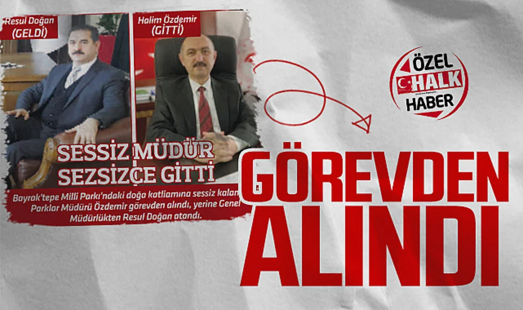 Samsun'daki doğa katliamı skandalında bölge müdürü görevden alındı