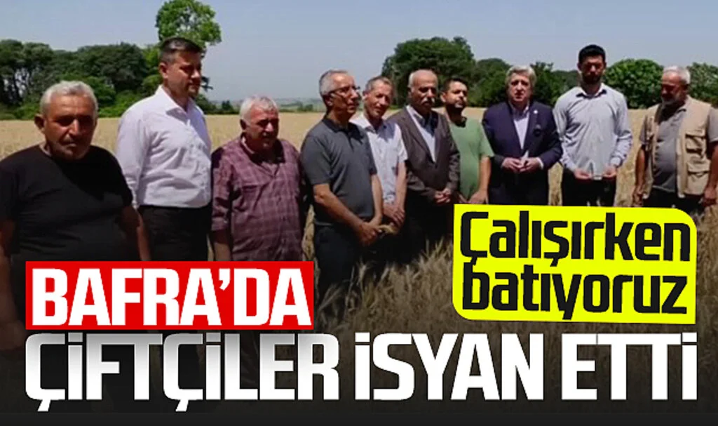 Bafra'da Çiftçiler İsyan Etti! "Çalışırken Batıyoruz"