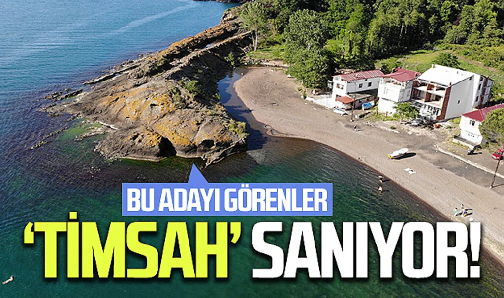 Bu adayı görenler şaşırıyor! Ağzı kapalı timsaha benziyor