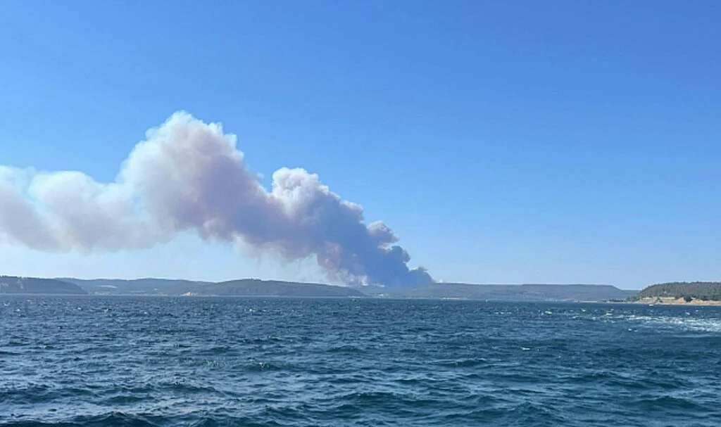 Çanakkale Boğazı'nda Orman Yangınları Nedeniyle Gemi Trafiği Askıya Alındı