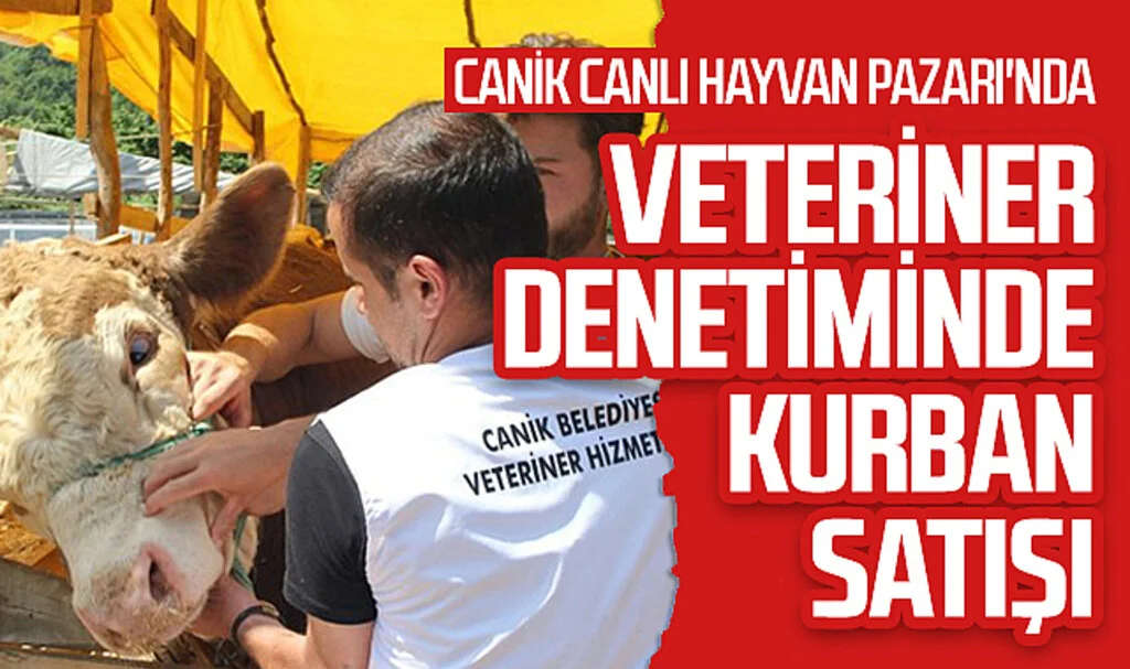 Canik Belediyesi Canlı Hayvan Pazarı'nda Veteriner Gözetiminde Kurban Satışı