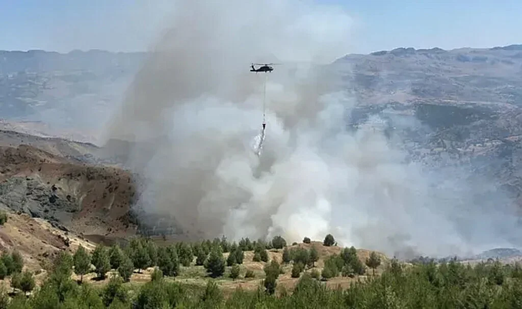 Çobanların demlediği çayın ateşi ormanı yaktı