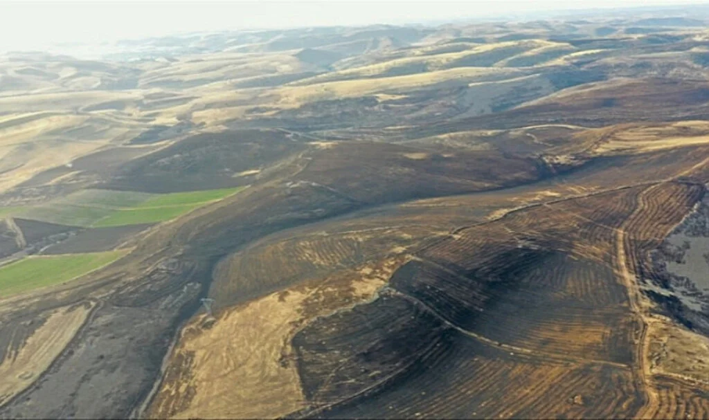 Diyarbakır ve Mardin arasında anız yangını: Can kaybı 11'e yükseldi