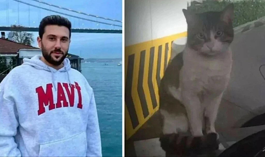 Evcil Kedi Eros'u Öldüren Sanığın Hapis Cezası Onandı