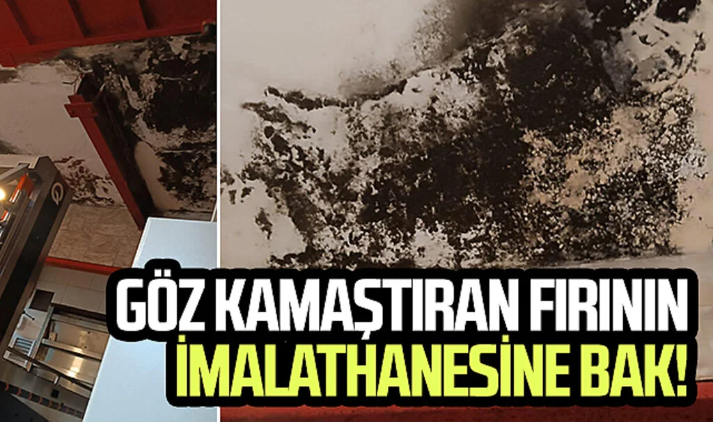 Göz kamaştıran fırının imalathanesine bak!