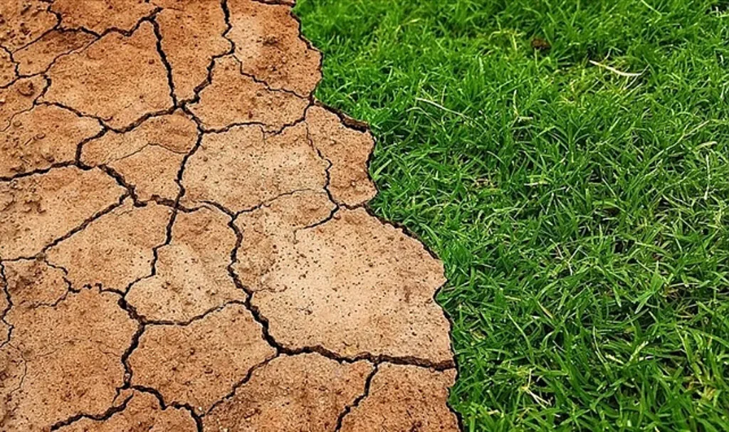 İnsan Kaynaklı Küresel Isınma Zirve Noktasına Ulaştı