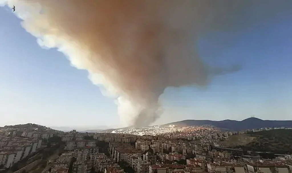 İzmir Selçuk'ta Orman Yangını