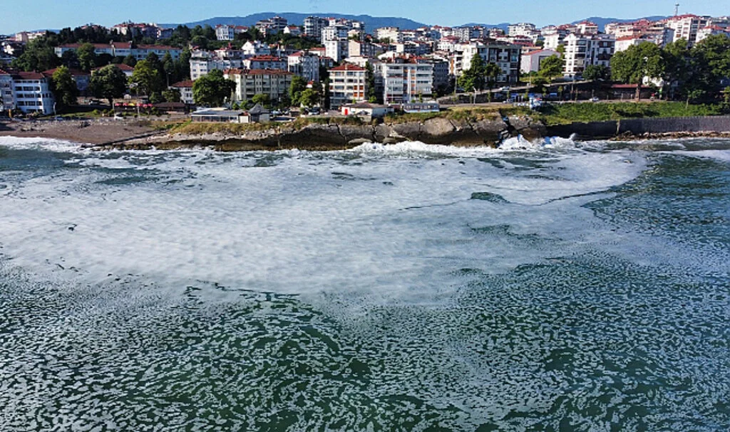 Karadeniz'de Müsilaj Tehlikesi