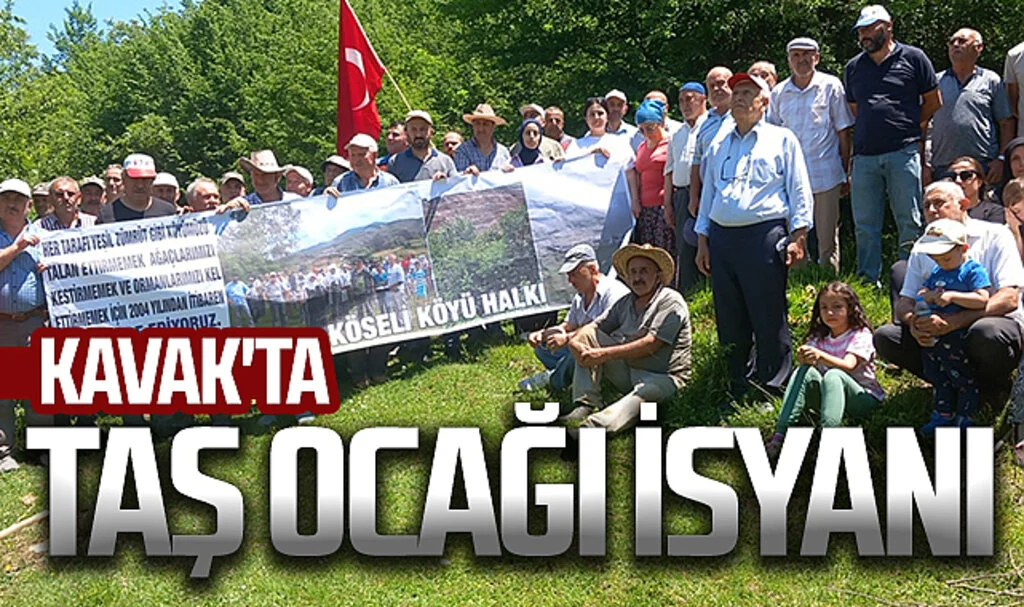 Kavak'ta vatandaşlar, ağaç katliamına isyan etti