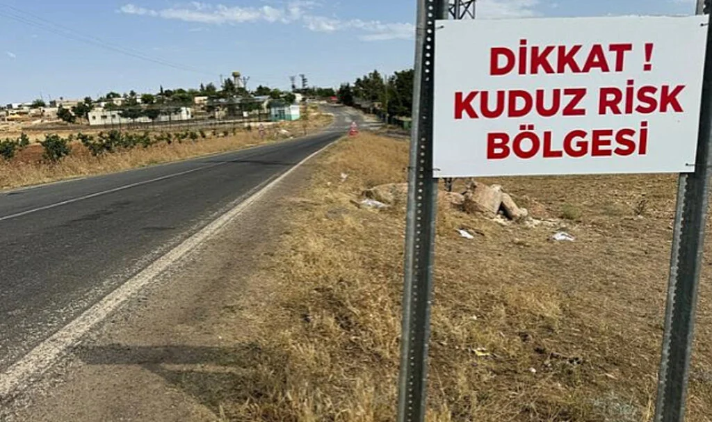 Kuduz Alarmı: İki Mahalle Karantinaya Alındı