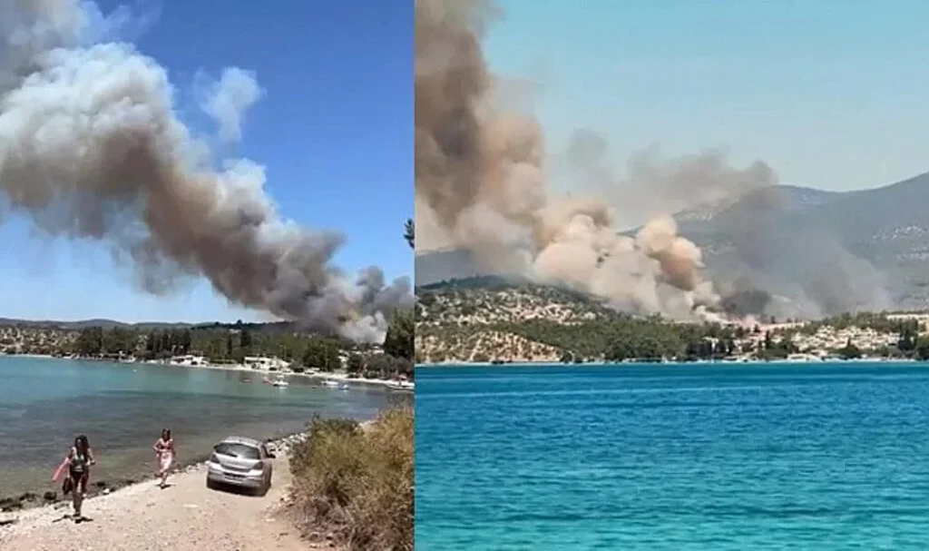 Muğla'da Orman Yangını: Havadan ve Karadan Müdahale Ediliyor