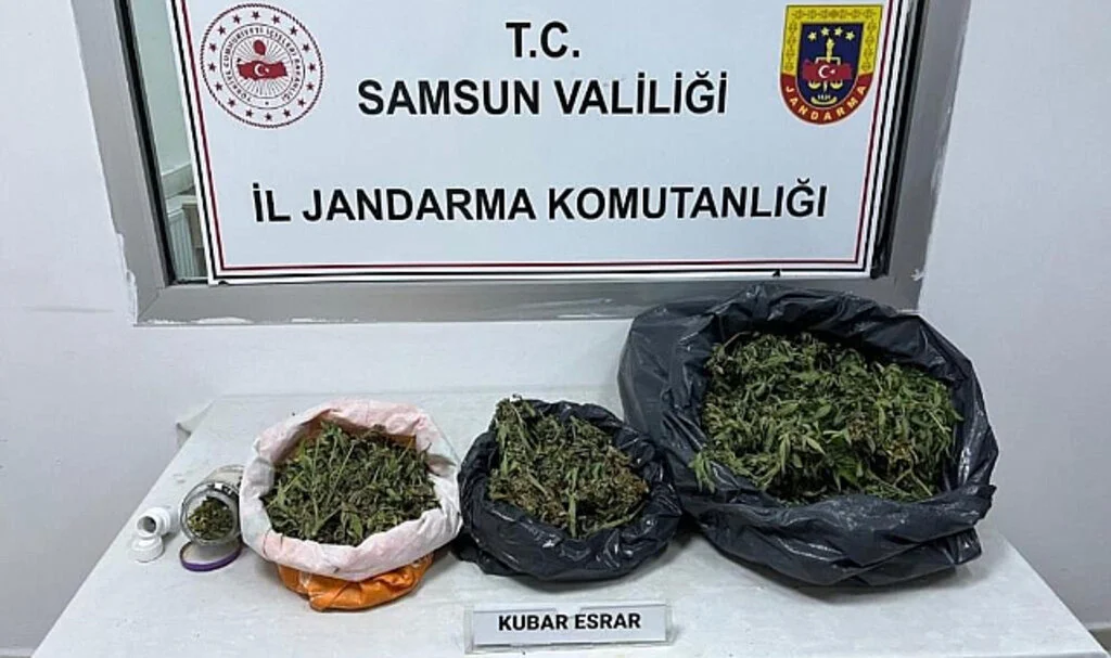 Samsun Çarşamba'da Uyuşturucu Operasyonu: 2,8 Kilo Esrar Ele Geçirildi, 1 Kişi Gözaltında!