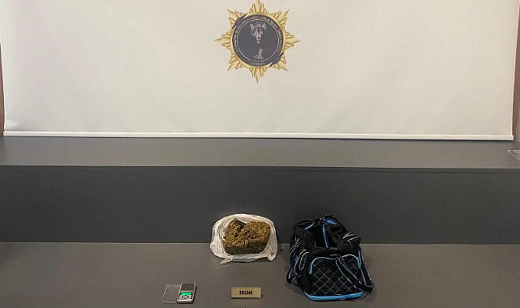 Samsun'da 421 gram skunk ele geçirildi