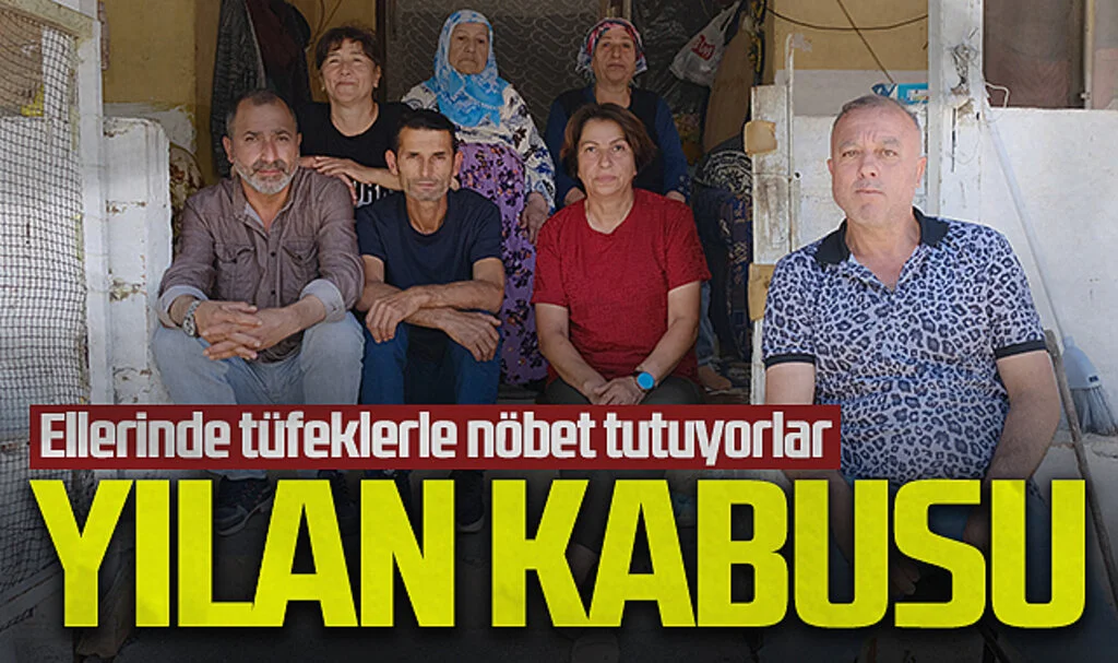 Samsun'da Ailenin Yılan Kabusu: Geceleri Uyuyamıyorlar