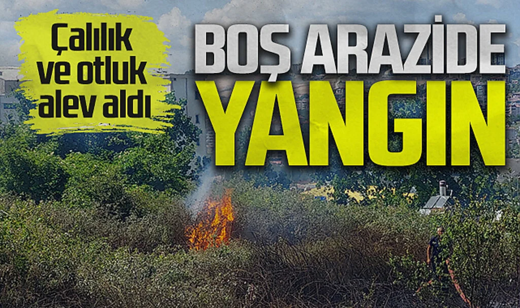 Samsun'da boş arazide çıkan yangın panik yarattı