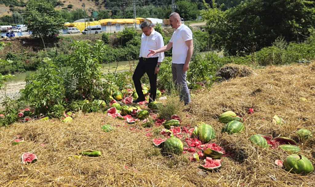 Samsun'da Irmak Kenarına Karpuz Döken Nakliye Firmasına İnceleme