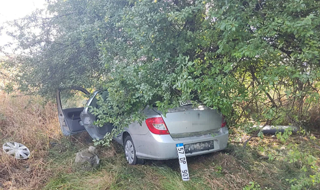 Samsun'da Meyve Bahçesine Dalıp Ağaca Çarpan Otomobilde 3 Yaralı