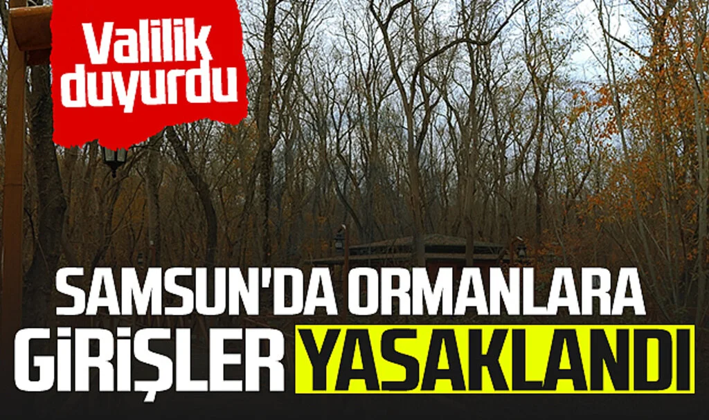Samsun'da Ormanlara Girişler Yasaklandı 