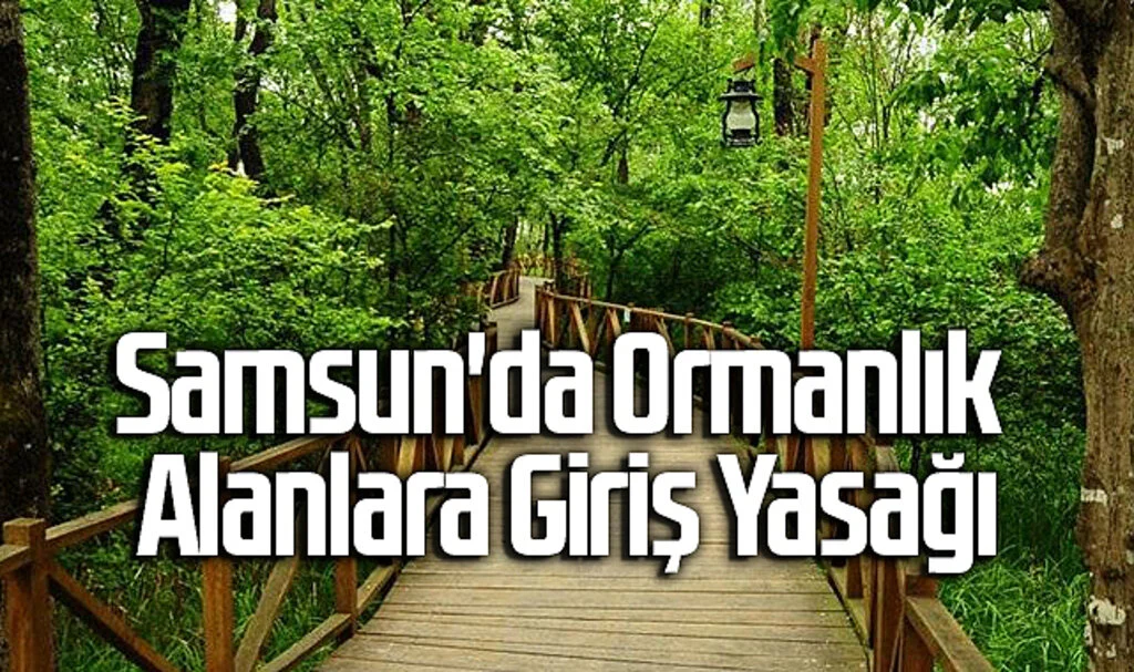 Samsun'da Ormanlık Alanlara 4 Ay Süreyle Giriş Yasağı