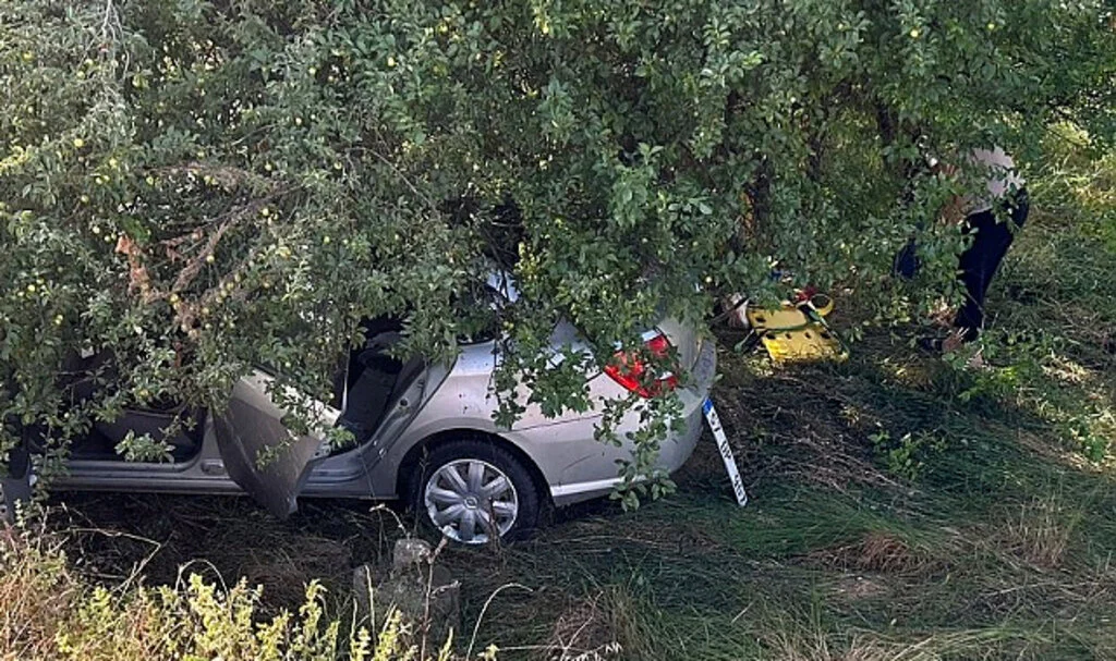 Samsun'da tarlaya devrilen otomobildeki 3 kişi yaralandı
