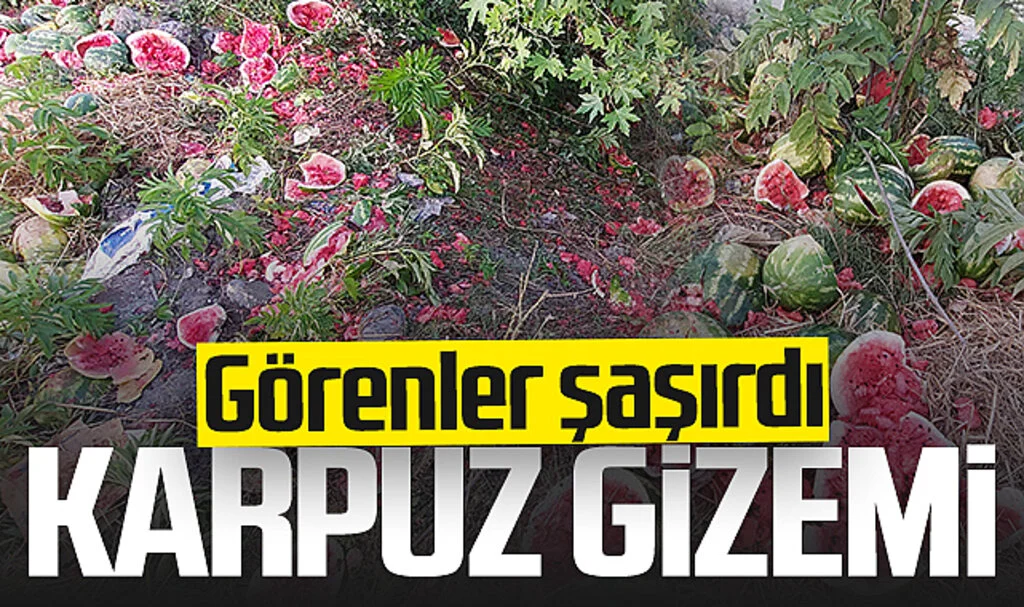 Samsun'da Yol Kenarına Atılan Karpuzlar Şaşırttı