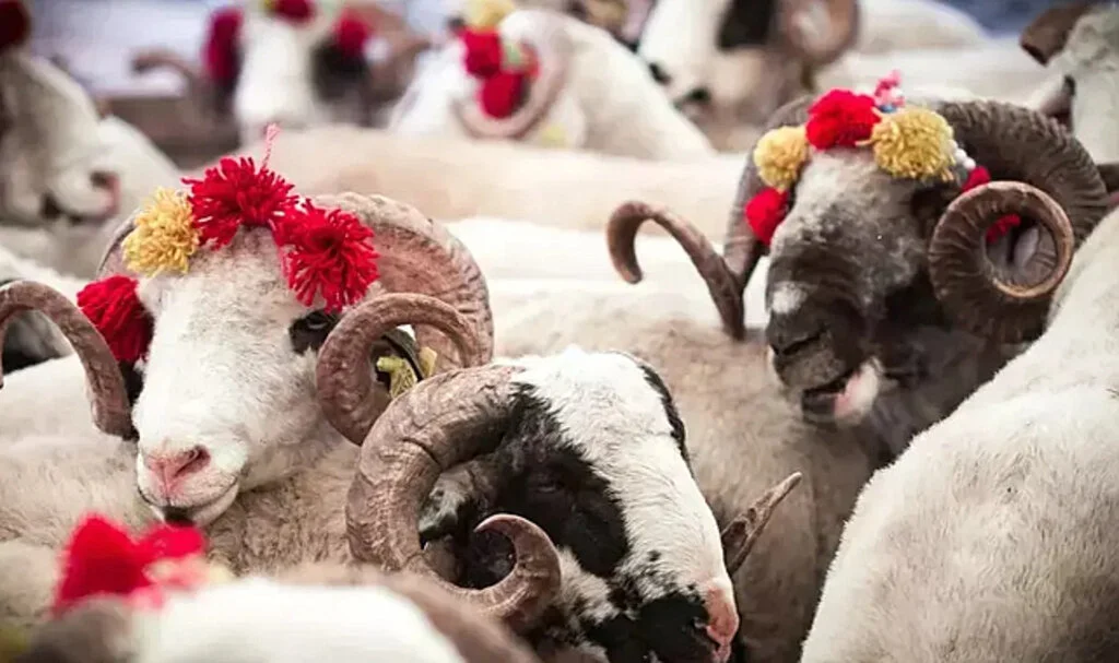 Samsun Havza'da Kurban Hizmetleri Komisyonu Kararları Açıklandı