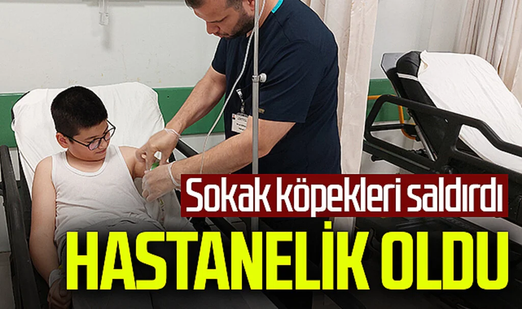 Sokak köpeklerinin saldırdığı çocuk hastanelik oldu