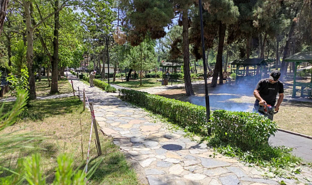 Vezirköprü'de yaz temizliği