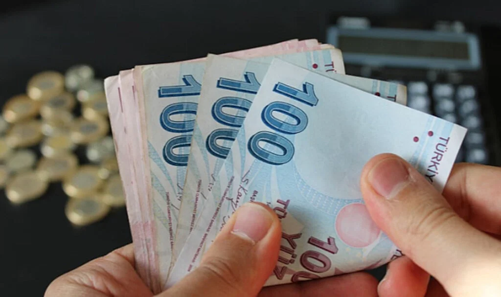 Yargı ve Vergi Paketleri ile Sokak Hayvanları Konusu... Değişiklikler Belli Oldu