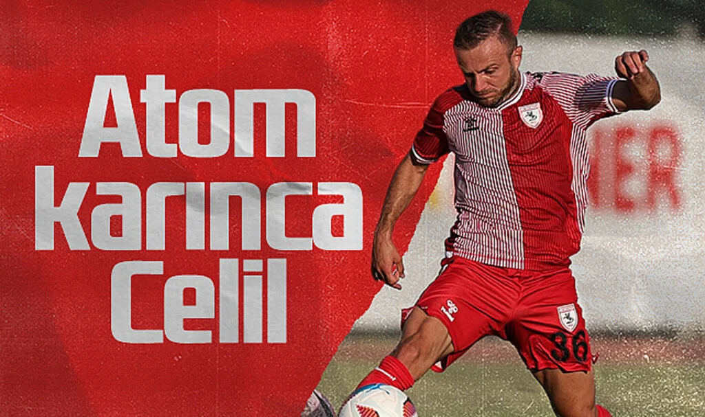 Atom Karınca Celil Yüksel