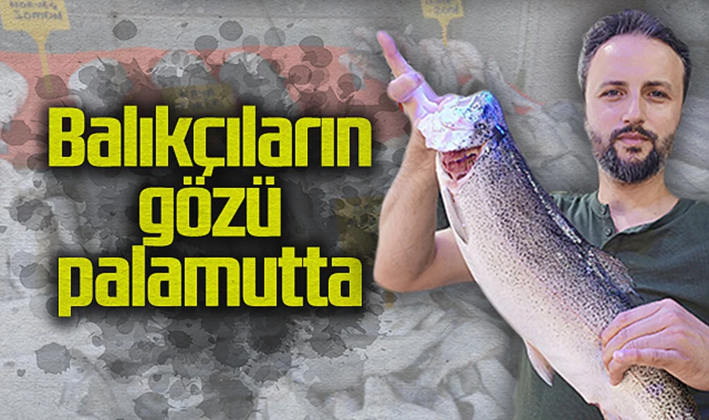 Balıkçıların Gözü Palamutta: Bu Sezon Bolluk Bekleniyor