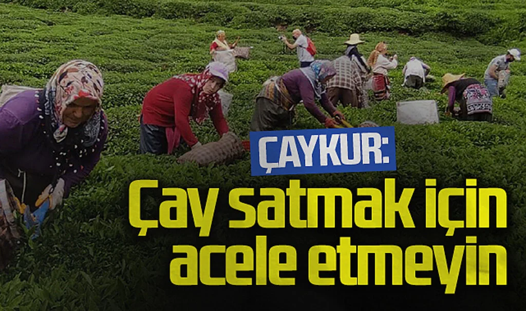 ÇAYKUR: Çay Satmak İçin Acele Etmeyin