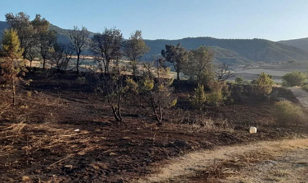 Çorum'da Mangal Yangını: 6 Dekar Alan Zarar Gördü