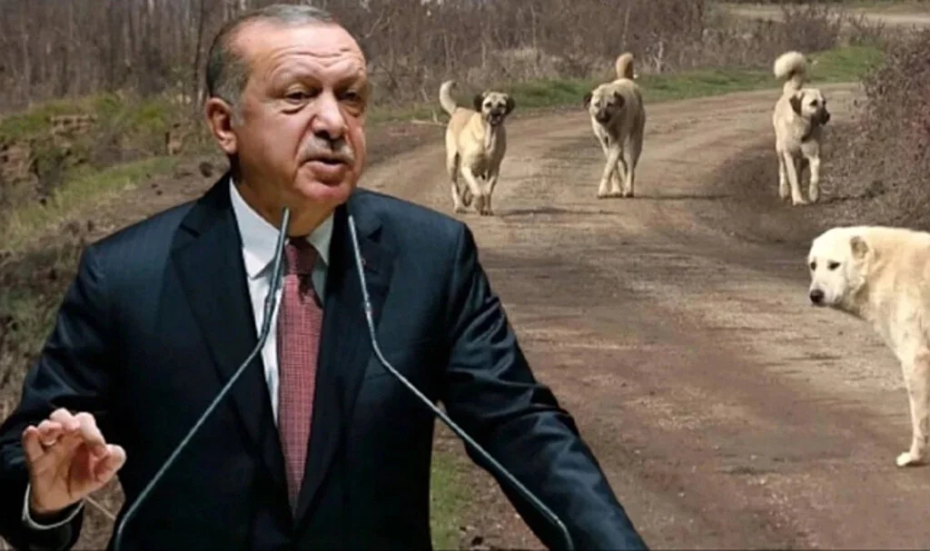 Cumhurbaşkanı Erdoğan: "Halkımız Sokakların Güvenli Hale Gelmesini İstiyor"
