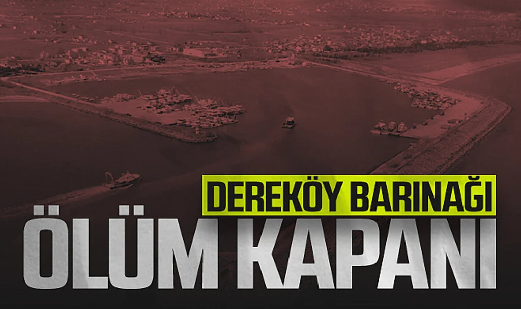 Dereköy Barınağı Ölüm Kapanı