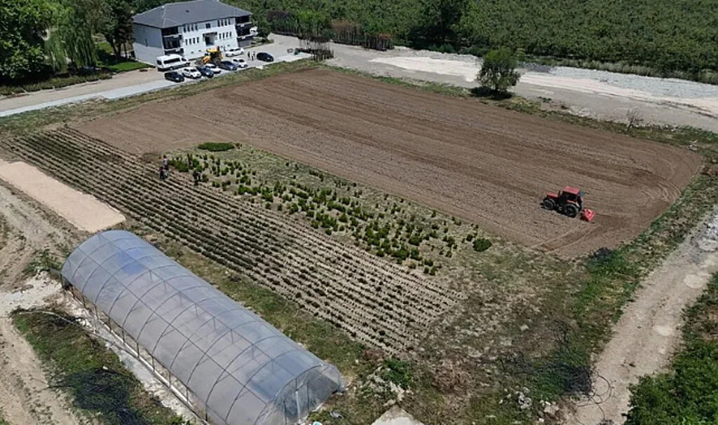 Düzce, Tıbbi Aromatik Bitki Üretimine Başlıyor