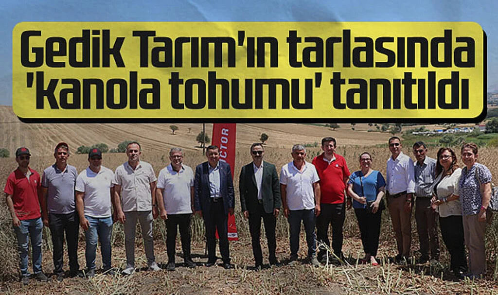 Gedik Tarım'ın tarlasında 'kanola tohumu' tanıtıldı
