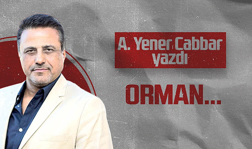 Hedef Halk Gazetesi Genel Yayın Yönetmeni A. Yener Cabbar: "Orman..."