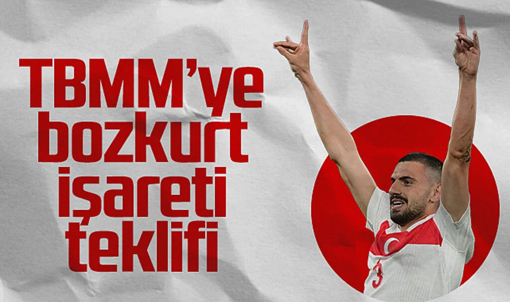 İYİ Parti'den TBMM'ye 'Bozkurt' İşareti Teklifi: 'Türklerin Ulusal Sembolü Olarak Kabul Edilsin'